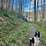 Passivhaus Kostoenea *