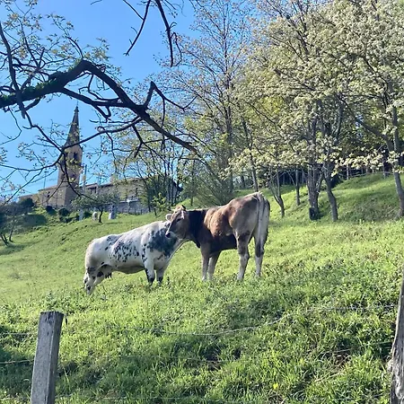Apartamento Passivhaus Kostoenea *