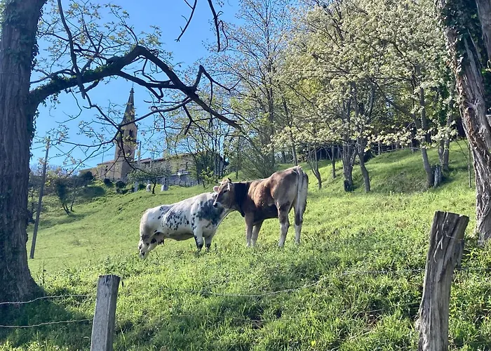 Apartamento Passivhaus Kostoenea *