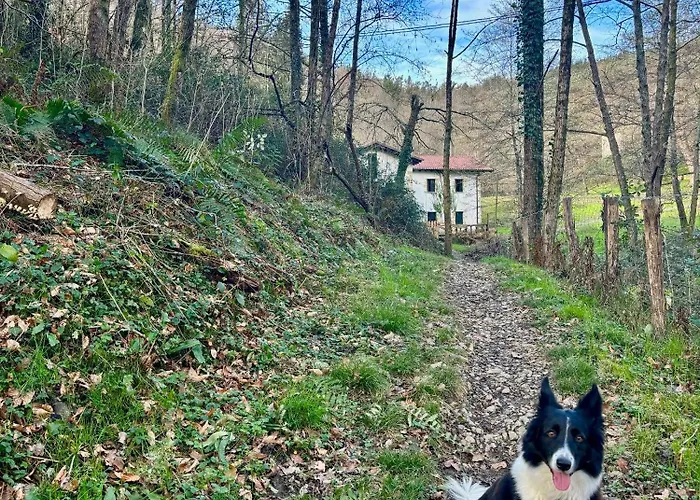 Passivhaus Kostoenea *