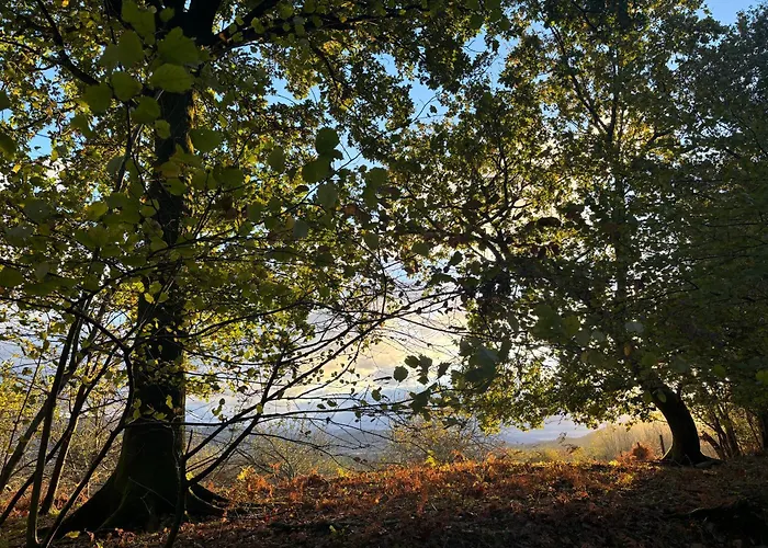 Passivhaus Kostoenea Hondarribia